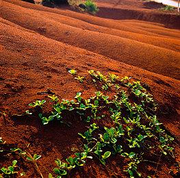 微软正考虑允许Xbox玩家自己修理他们的主机